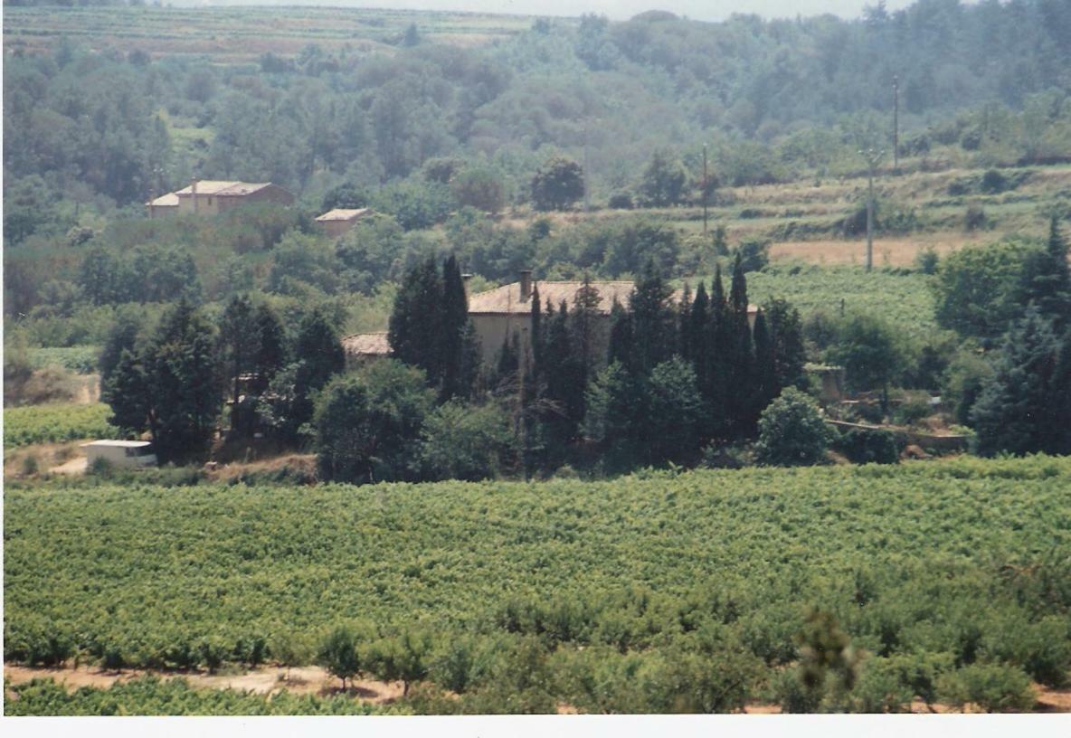 Domaine Chanoine Rambert Saint-Andre-d'Olerargues Dış mekan fotoğraf